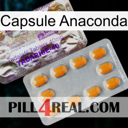 Anaconda Capsule